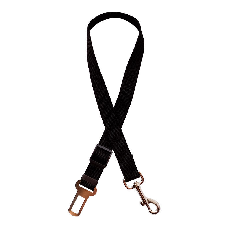 Cat Dog Belt