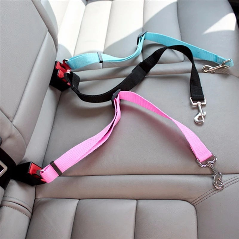 Cat Dog Belt