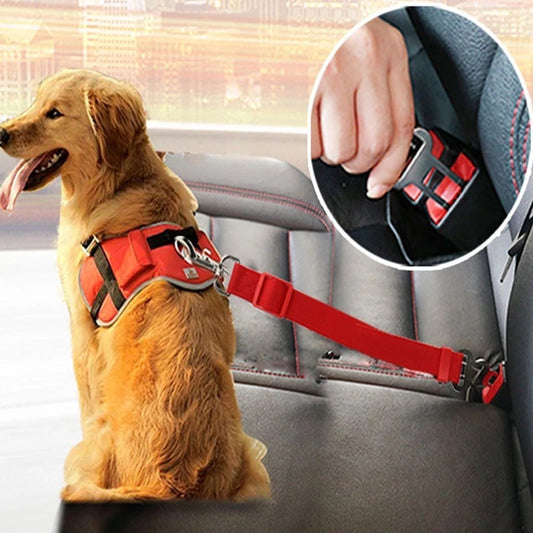 Cat Dog Belt
